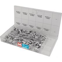 Surtido de engrasadores 80 piezas samoa hallbauer