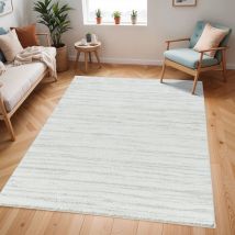 Tappeto Salotto a Pelo Lungo Soggiorno Shaggy Moderno Bianco e Grigio 160 x 213 cm - Surya