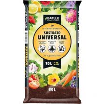 Sustrato Universal Batlle 80 L