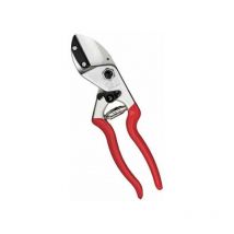 Svettatoio Felco 31