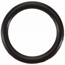 SW-Stahl s3281 – 43 o anello di 10 X 1, 5