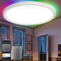 24W Smart led Plafoniera Dimmerabile Alexa Hallway Lampada rgb - Swanew