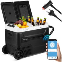 Swanew - 50L Mini Réfrigérateur Frigo Portable Réfrigérateur Glacière Électrique Voiture à Compression Mini Congelateur pour Maison Voiture Camping