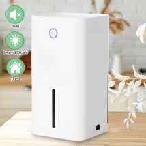 Déshumidificateurs 850ml Déshumidificateur Electrique Mini Portable Dehumidifier pour la Maison Salle de Bains, Chambre - Swanew