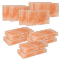 Swanew - Pierre de sel Premium pour griller - pierre de sel bbq de haute qualité pour un goût spécial - planche de sel 12X