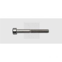 Vite con testa cava esagonale M5 35 mm Interno Esagonale din 912 Acciaio inox A2 50 pz. - SWG