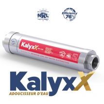 Swiss Aqua Technologies Innovativer Wasserenthärter IPS Kalyxx RedLine G1' Innengewinde (IPSKXRG1)