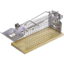 Swissinno - Piège à insectes 1 584 001 pour l'intérieur/extérieur