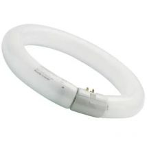 0001964 Leuchtstoffröhren T9 Circline hr 32W 840 Sockel G10q - Sylvania