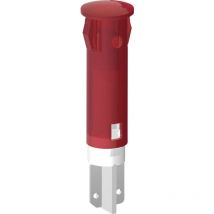Signal Construct - SKID05202 LED-Signalleuchte Grün Pfeil 12 v/dc