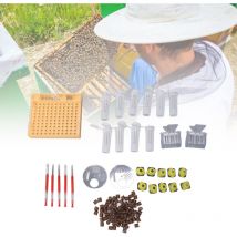 Système d'élevage de reines en plastique Kit de greffage d'élevage de reines d'abeilles Fournitures d'outils d'apiculture,DUBUNS