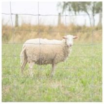 RETE PER OVINI ZINCATA maglia cm.15x9 fili - 50 MT cm.100h. - FER 232265