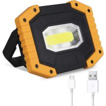 T-sun 30W 2000lm Rechargeable led Floodlight, Portable, 5200mAh Battery, Work Light with 3 Modes and usb Port