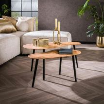 Pier Import - Table basse en bois d'acacia forme haricot (lot de 2) melbourne