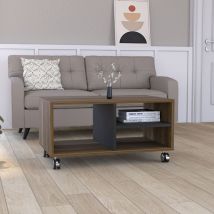 Tuhome Concept - Table basse Noyer, avec étagères 41.2CM l x 80CM p x 50CM l x 50CM p Caramel / Noir