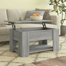 Le Poisson Qui Jardine - Table Basse Salon. Couleur Bois Gris. Plateau Relevable. Grand Espace de Rangement - Gris