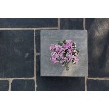 Elementi - tevere Table d'appoint en béton simple design 35 x 35 x 46 cm