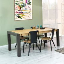 Pier Import - Table de Repas extensible Inspiration Indus' en Acacia et Métal 180/230x100x76cm brooklyn