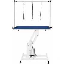 Monster-shop - Table Toilettage Hydraulique - Cadre Acier Blanc Robuste & Plateau Antidérapant Bleu 106 x 61cm - Hauteur 55 à 100cm - Capacité 180 kg