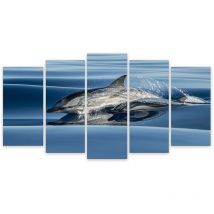 Hxadeco - Tableau 5 parties animaux dauphin dans le sillon d'un bateau - 150x80 cm