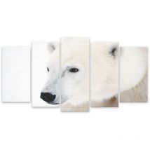 Hxadeco - Tableau 5 parties Tableau photo portrait ours polaire - 150x80 cm