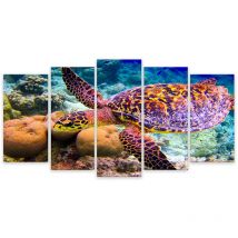 Hxadeco - Tableau 5 parties Tableau photo tortue et fonds marins - 150x80 cm