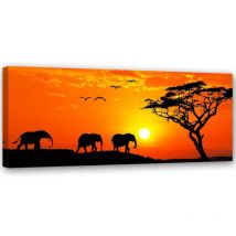 Image, Panorama de la savane en Afrique - 120x40