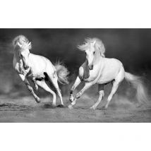 Hxadeco - Tableau cheval camarguais noir et blanc , 80x50cm