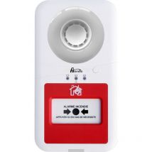 Axendis - Tableau d'alarme Type 4 autonome avec Flash