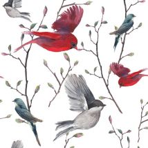 Tableau deco oiseaux illustrés - 50x50 cm