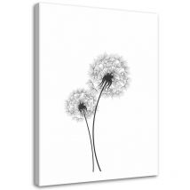 Image sur toile, Deux pissenlits - 60x90