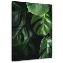 Image sur toile, Feuilles de Monstera - 70x100