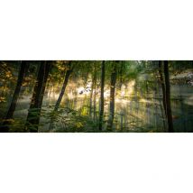 Tableau Forêt - 80x30cm - made in France