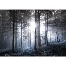 Tableau forêt en hiver avec rayons du soleil | Tableau arbre gris & blanc idéal couloir | Tableau sur toile déco salon & chambre adulte 0,7 x 0,5 m