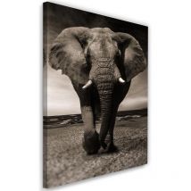 Tableau, éléphant xxl sur la savane - 60x90