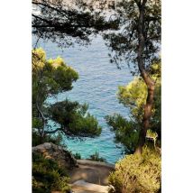 Ceanothe - Tableau sur verre chemin vers les calanques 45x65 cm - Impression sur Verre - Image hd imprimée sur Verre - Tableau mural décoratif en