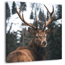 Ceanothe - Tableau sur toile regard d'un cerf 65x65 cm - Impression sur Toile Murale Décorative - Image imprimée en hd sur Toile - Toile sur Châssis