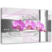 Image sur toile, Orchidées fleurs nature rose - 120x80