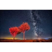 Hxadeco - Tableau paysage beautiful clear starry sky - 80x50 cm