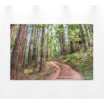 Tableau paysage chemin dans la forêt | Tableau sur toile paysage marron & vert pour déco salon | Tableau automne pour couloir 0,9 x 0,6 m