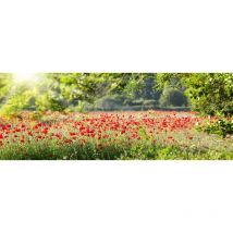 Tableau paysage la belle prairie, 80x30cm