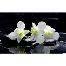 Tableau photo zen orchidées et galets - 80x50 cm