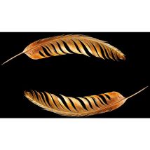 Tableau Plumes de bronze - 80x50cm - made in France
