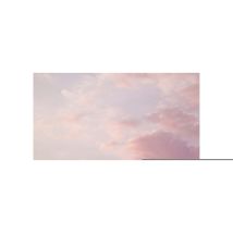 Tableau rose avec oiseaux & palmier idéal déco salon | Tableau oiseaux vintage pour chambre | Tableau sur toile couloir 0,5 x 0,7 m