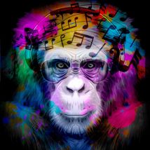 Hxadeco - Tableau Singe et musique - 50x50cm - made in France