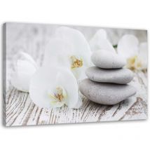 Tableau sur toile, Orchidée blanche et pierres - 100x70