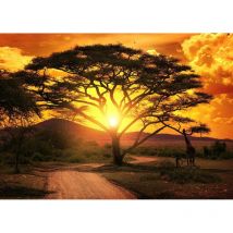 Ceanothe - Tableau sur toile savane au coucher du soleil 45x65 cm - Impression sur Toile Murale Décorative - Image imprimée en hd sur Toile - Toile