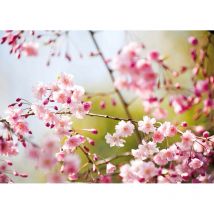 Tableau été motif fleur rose | Tableau printemps japonais pour salle de bain | Tableau sur toile fleuri pour cuisine & chambre adulte 0,7 x 0,5 m