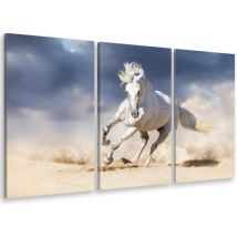 Tableau triptyque animal le cheval blanc - 90x60 cm