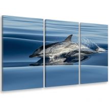 Hxadeco - Tableau triptyque animaux dauphin dans le sillon d'un bateau - 90x60 cm